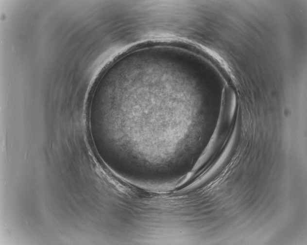 X0000060741327200511141123