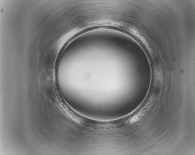 X0000060741328200511141123