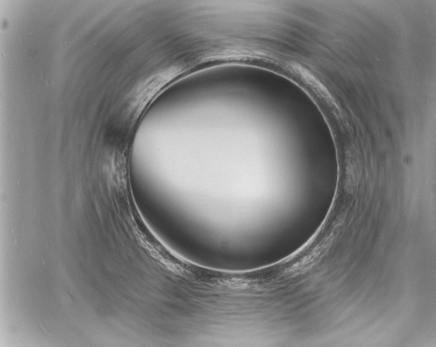 X0000060741329200511141123