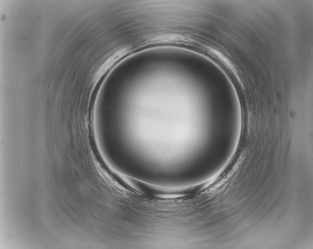 X0000060741330200511141123