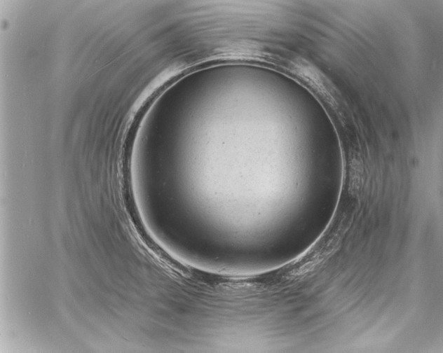 X0000060741331200511141123