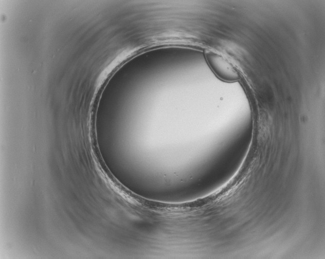 X0000060741333200511141123