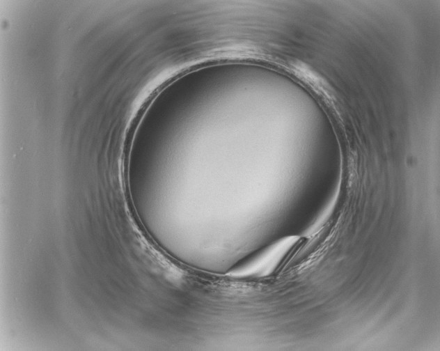 X0000060741334200511141123