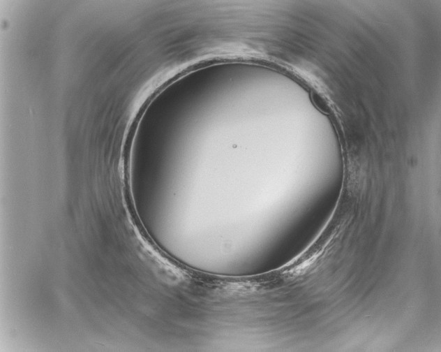 X0000060741335200511141123