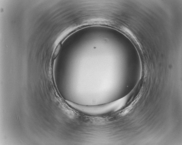 X0000060741336200511141123