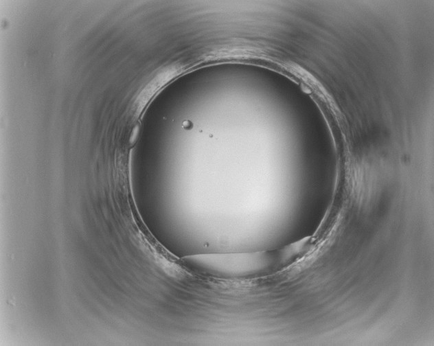 X0000060741337200511141123