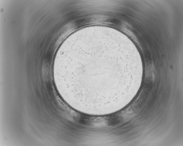 X0000060741338200511141123