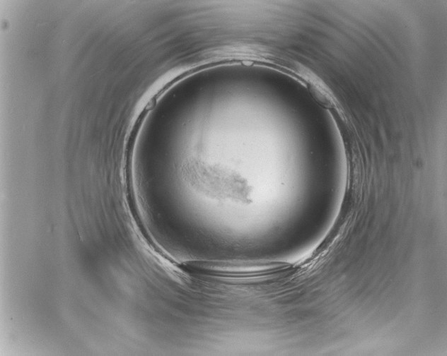 X0000060741339200511141123