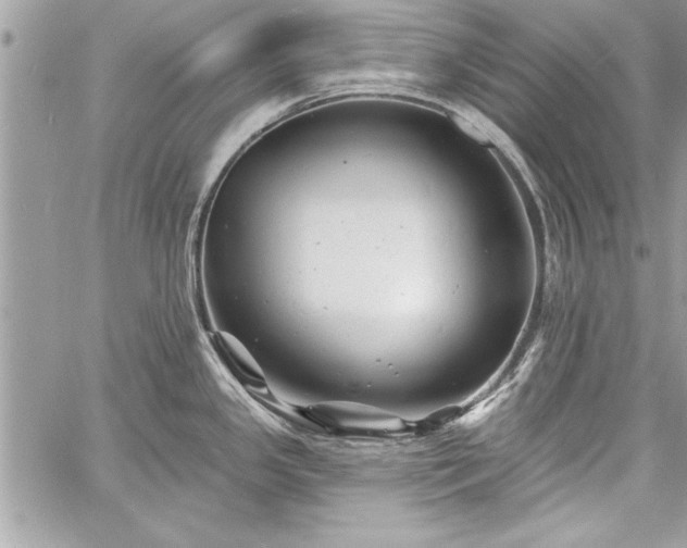 X0000060741341200511141123