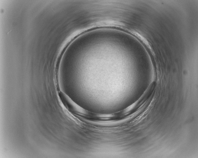 X0000060741342200511141123