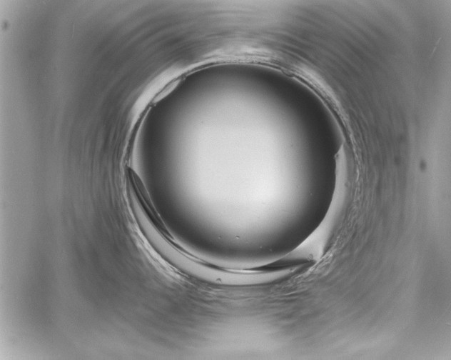 X0000060741344200511141123