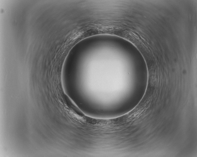 X0000060741345200511141122