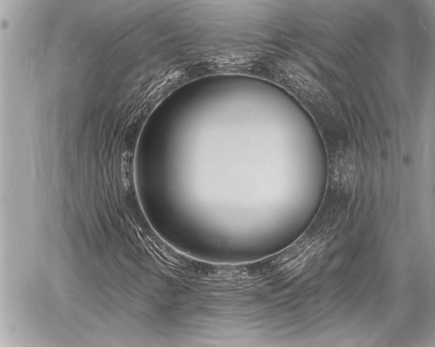 X0000060741346200511141122