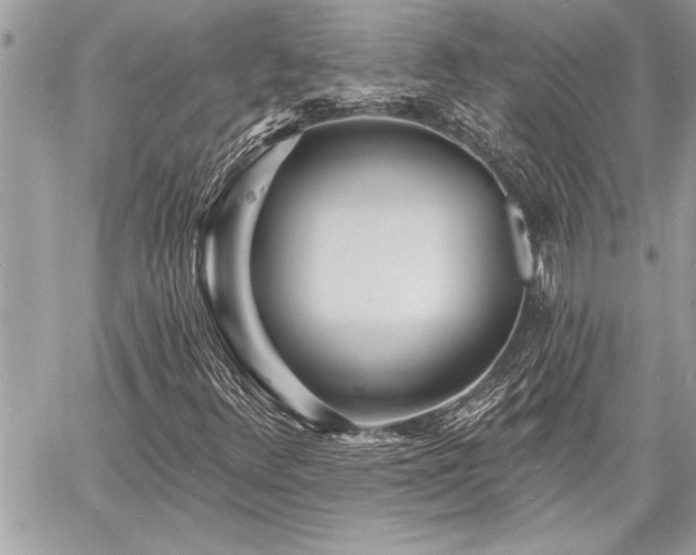 X0000060741348200511141122