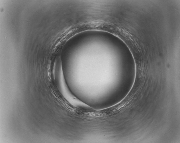 X0000060741349200511141122