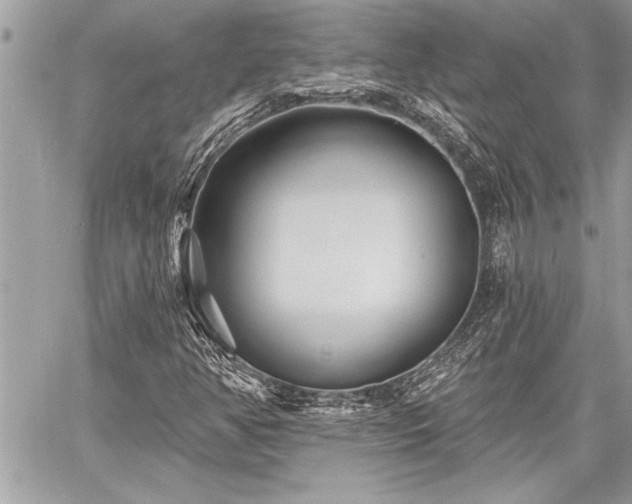 X0000060741350200511141122