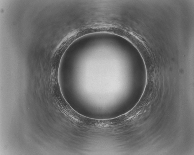 X0000060741351200511141122