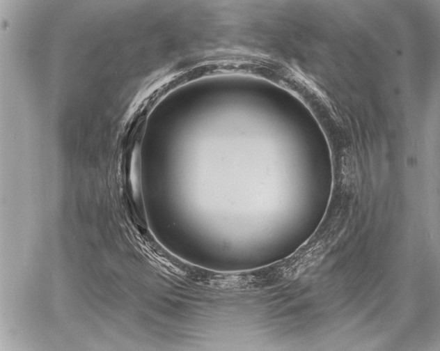 X0000060741352200511141122