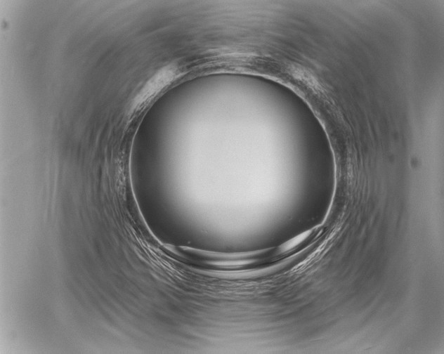 X0000060741354200511141122