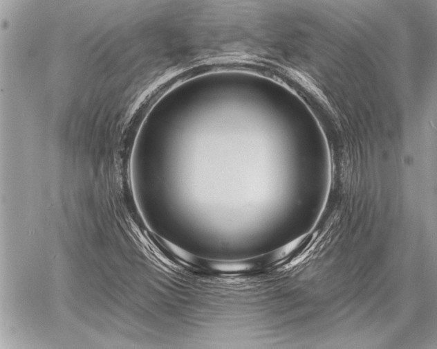 X0000060741356200511141122