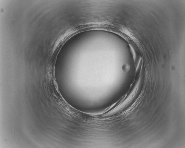 X0000060741357200511141122