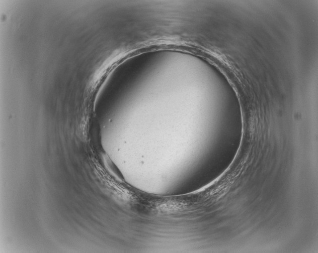 X0000060741359200511141122