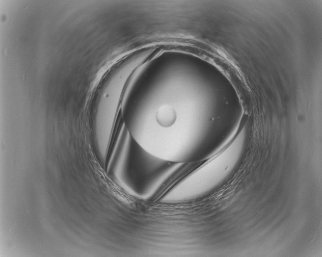 X0000060741360200511141122