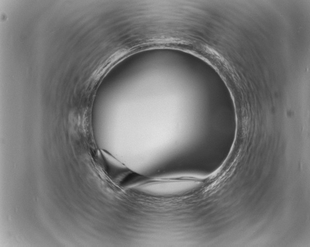 X0000060741361200511141122