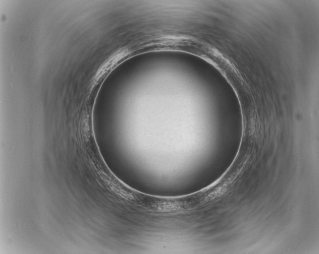 X0000060741362200511141122