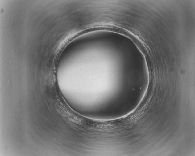 X0000060741363200511141122