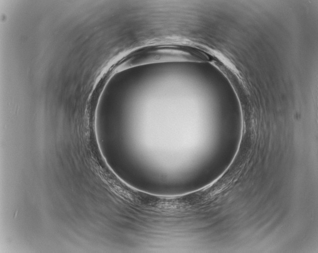 X0000060741364200511141122