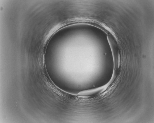 X0000060741365200511141122