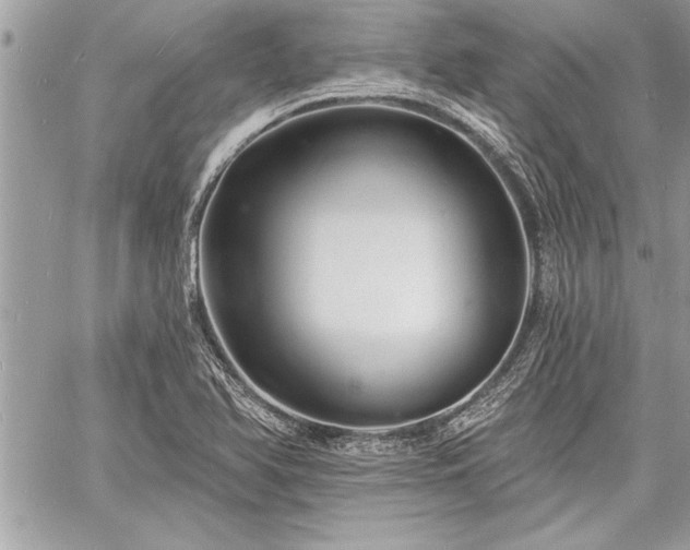 X0000060741366200511141122