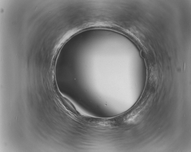 X0000060741367200511141122