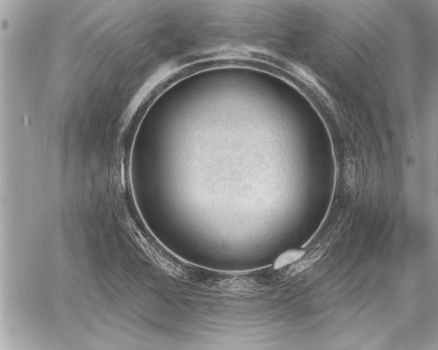 X0000060741368200511141122