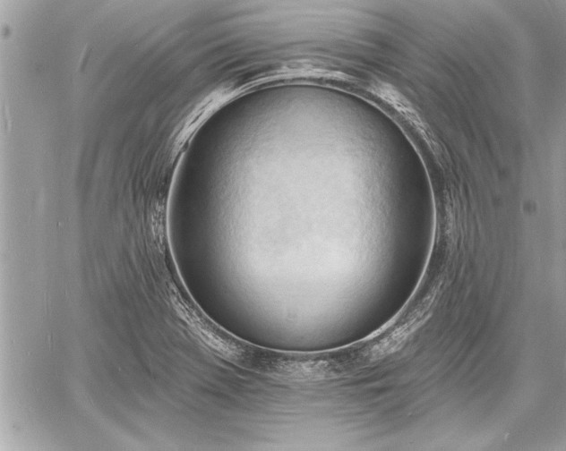 X0000060741369200511141122