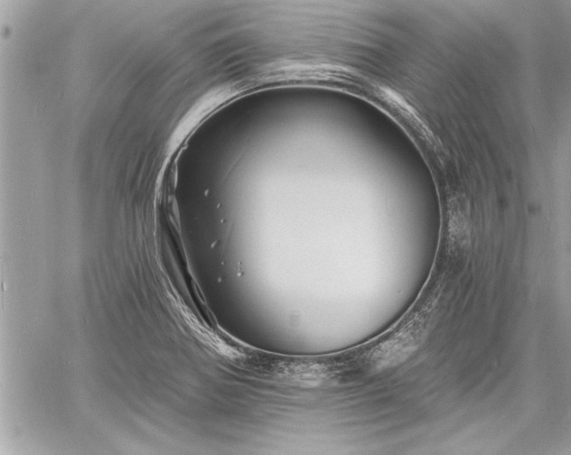 X0000060741370200511141122