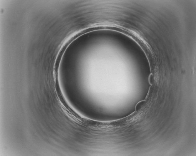 X0000060741372200511141122