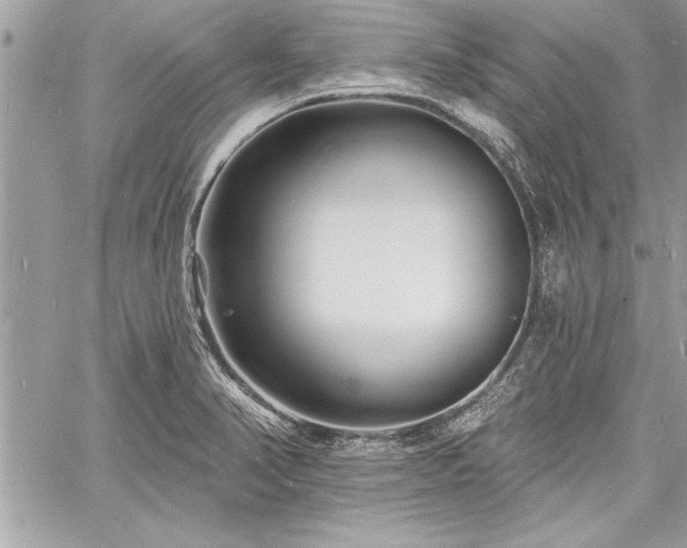 X0000060741374200511141122