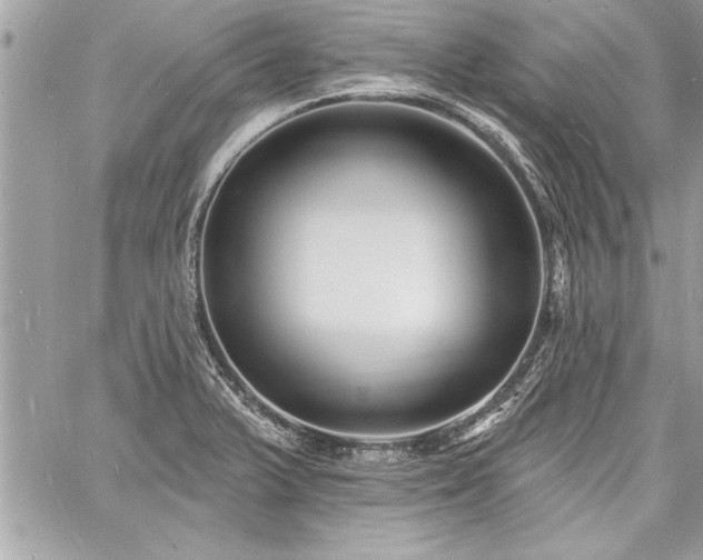 X0000060741375200511141122