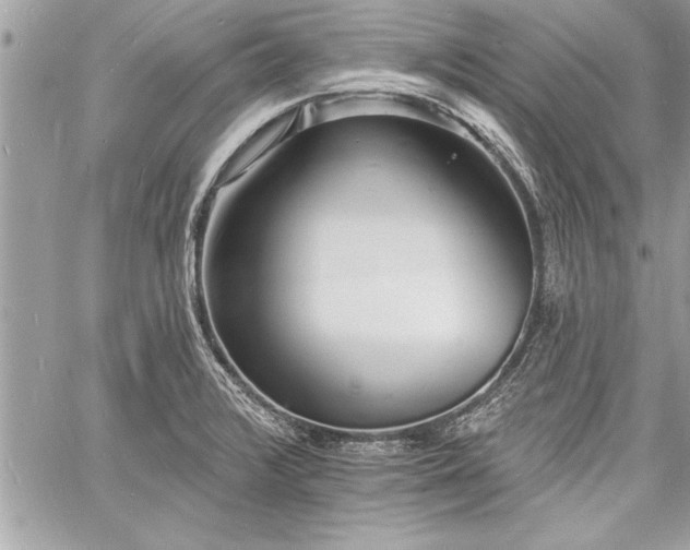 X0000060741376200511141122