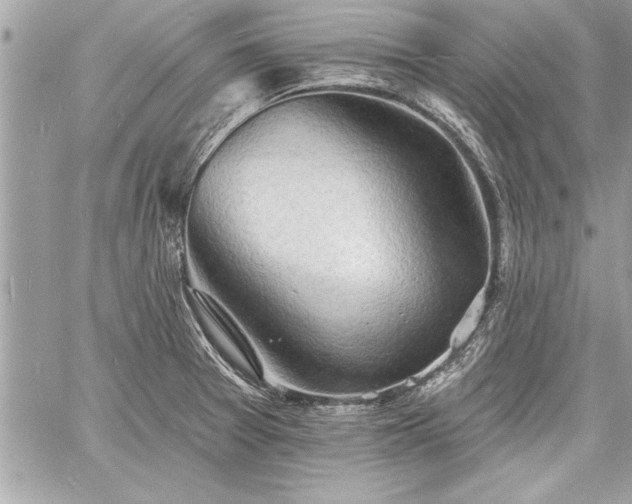 X0000060741377200511141122