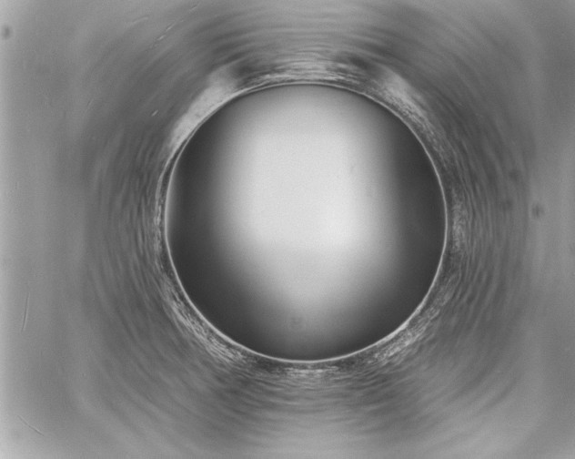 X0000060741378200511141122