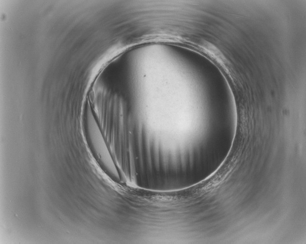 X0000060741379200511141122