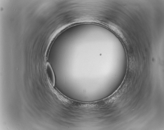 X0000060741380200511141122