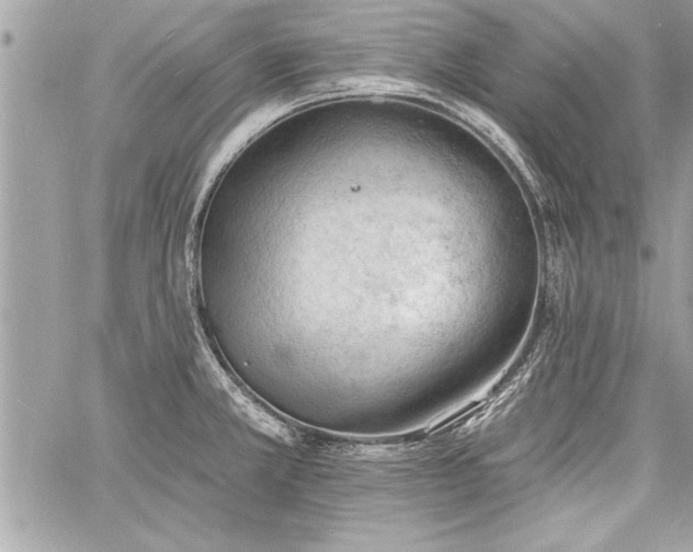 X0000060741381200511141122