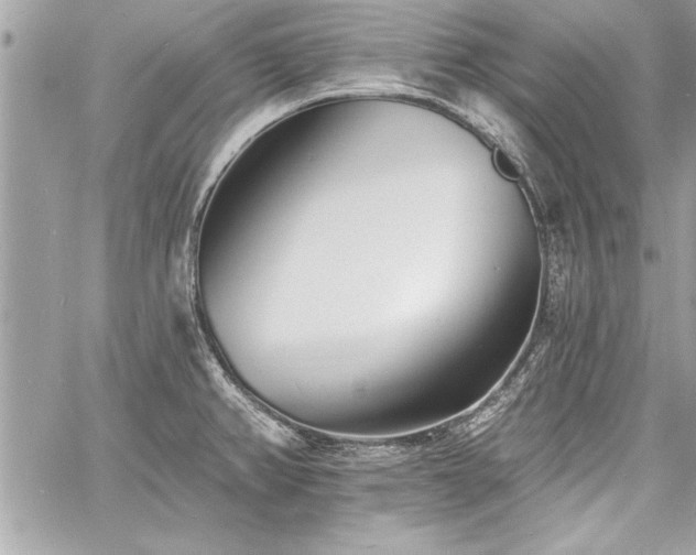 X0000060741382200511141122