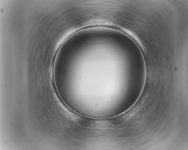 X0000060741383200511141122