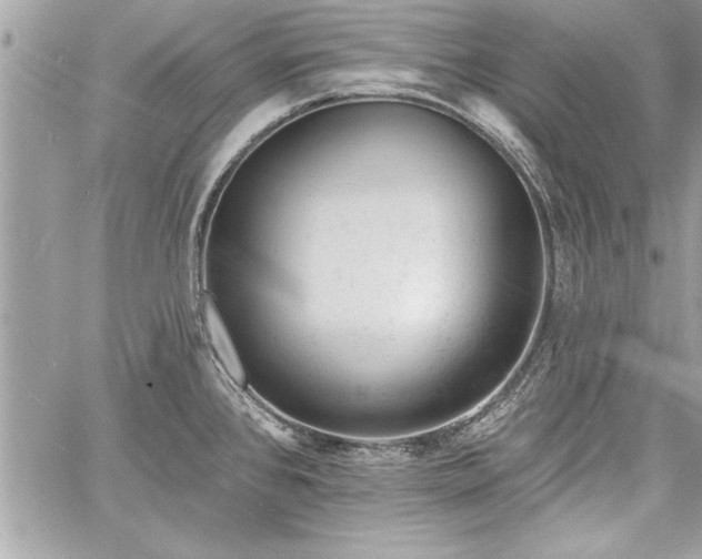 X0000060741384200511141122