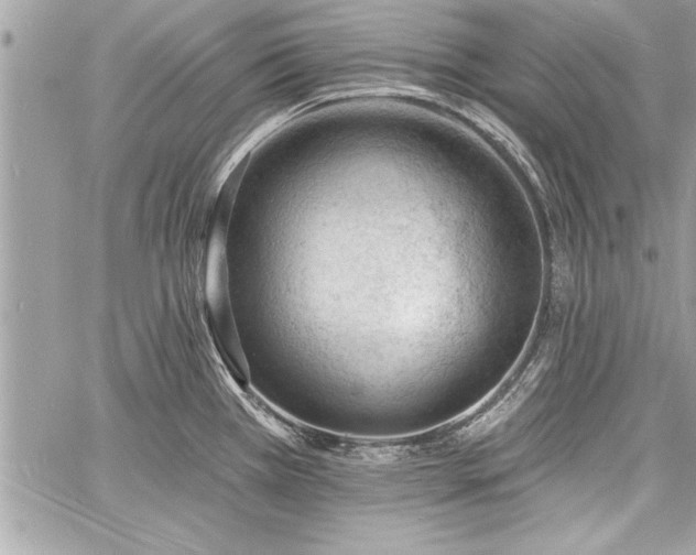 X0000060741385200511141122